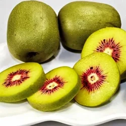 Актинидия самоплодная для комнаты Zespri Red Актинидия самоплодная для комнаты Zespri Red
