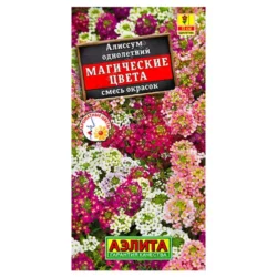 Алиссум Магические цвета