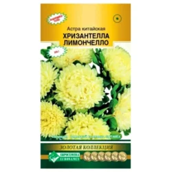 Астра китайская Хризантелла Лимончелло Евросемена Астра китайская Хризантелла Лимончелло Евросемена