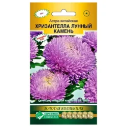 Астра китайская Хризантелла Лунный камень Евросемена Астра китайская Хризантелла Лунный камень Евросемена