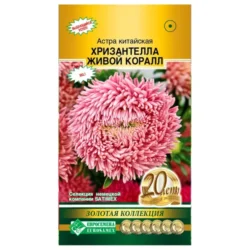 Астра китайская Хризантелла Живой коралл Евросемена Астра китайская Хризантелла Живой коралл Евросемена