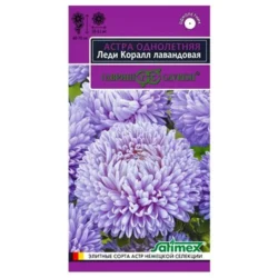 Астра Леди Корал лавандовая Гавриш Астра Леди Корал лавандовая Гавриш