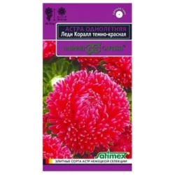 Астра Леди Корал темно-красная Гавриш Астра Леди Корал темно-красная Гавриш