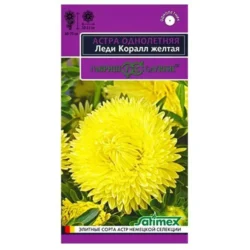 Астра Леди Корал желтая Гавриш Астра Леди Корал желтая Гавриш