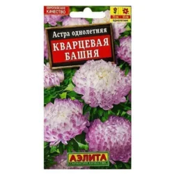 Астра пионовидная Кварцевая башня Аэлита Астра пионовидная Кварцевая башня Аэлита