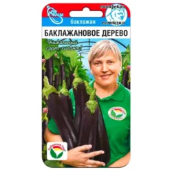 Баклажан Баклажановое дерево Сибирский сад Баклажан Баклажановое дерево Сибирский сад
