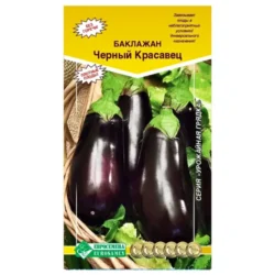 Баклажан Черный красавец Евросемена Баклажан Черный красавец Евросемена