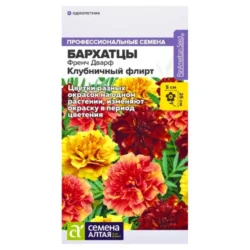 Бархатцы карликовые Френч Дварф Клубничный флирт Семена Алтая Бархатцы карликовые Френч Дварф Клубничный флирт Семена Алтая