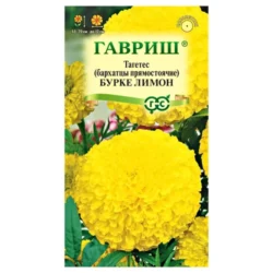 Бархатцы прямостоячие Бурке Лимон Гавриш Бархатцы прямостоячие Бурке Лимон Гавриш