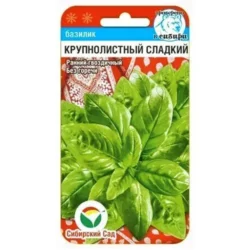 Базилик зеленый Крупнолистный сладкий Сибирский сад Базилик зеленый Крупнолистный сладкий Сибирский сад