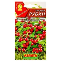 Брусника Рубин
