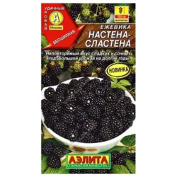 Ежевика Настена-сластена Аэлита Ежевика Настена-сластена Аэлита