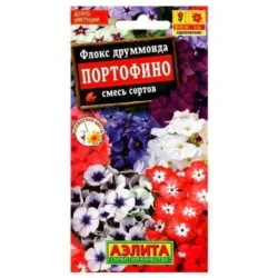Флокс Портофино