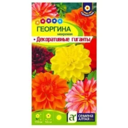 Георгина Декоративные гиганты, смесь окрасок Семена Алтая Георгина Декоративные гиганты