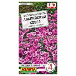 Гвоздика аллвуда Альпийский ковер
