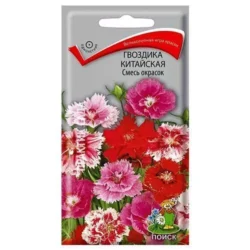 Гвоздика Китайская