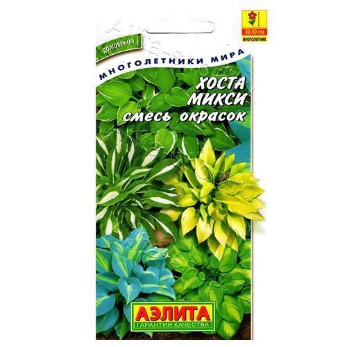 Хоста Микси