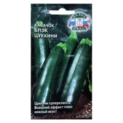 Кабачок Блэк Цуккини Седек Кабачок Блэк Цуккини Седек