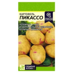 Картофель Пикассо Семена Алтая Картофель Пикассо Семена Алтая