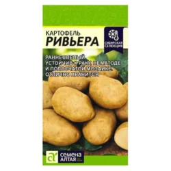 Картофель Ривьера Семена Алтая Картофель Ривьера Семена Алтая