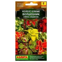 Колеус Блюме Волшебник, смесь сортов Аэлита Колеус Блюме Волшебник