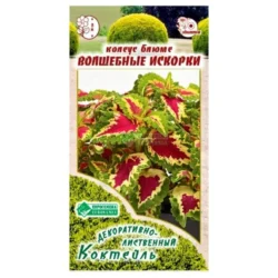Колеус Блюме Волшебные искорки Евросемена Колеус Блюме Волшебные искорки Евросемена