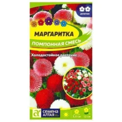 Маргаритка Помпонная