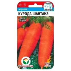 Морковь Курода Шантанэ Сибирский сад Морковь Курода Шантанэ Сибирский сад