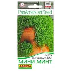 Мята корсиканская Мини Минт Аэлита