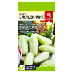 Огурец Блондинчик Семена Алтая Огурец Блондинчик Семена Алтая