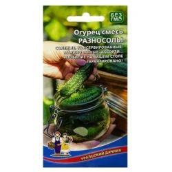 Огурец Разносолы, смесь сортов Уральский дачник Огурец Разносолы