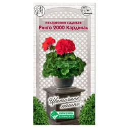 Пеларгония (герань) садовая Ринго 2000 Кардинал Евросемена Пеларгония (герань) садовая Ринго 2000 Кардинал Евросемена