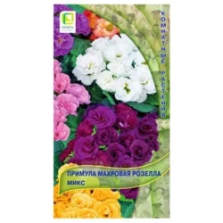 Примула махровая Розелла