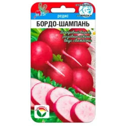Редис Бордо-Шампань Сибирский сад Редис Бордо-Шампань Сибирский сад