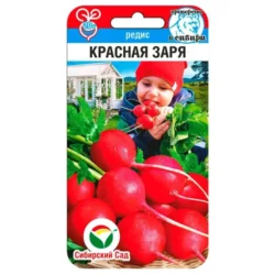 Редис Красная заря Сибирский сад Редис Красная заря Сибирский сад