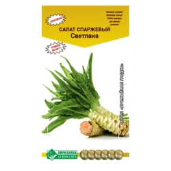 Салат спаржевый Светлана Евросемена Салат спаржевый Светлана Евросемена