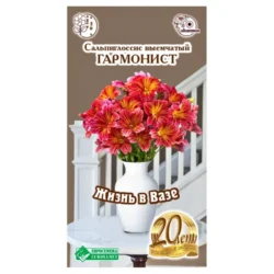 Сальпиглоссис Гармонист Евросемена Сальпиглоссис Гармонист Евросемена