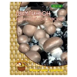 Шампиньон коричневый королевский Поиск