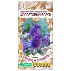 Синеголовник ливенфорта Фиолетовый блеск Евросемена Синеголовник ливенфорта Фиолетовый блеск Евросемена