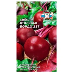 Свекла Бордо 237 Седек Свекла Бордо 237 Седек