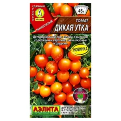 Томат Дикая утка Аэлита Томат Дикая утка Аэлита