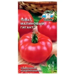 Томат Малиновый гигант Седек Томат Малиновый гигант Седек
