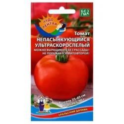 Томат Непасынкующийся ультраскороспелый Уральский дачник Томат Непасынкующийся ультраскороспелый Уральский дачник