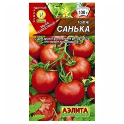 Томат Санька Аэлита Томат Санька Аэлита