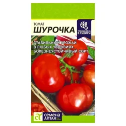 Томат Шурочка Семена Алтая Томат Шурочка Семена Алтая