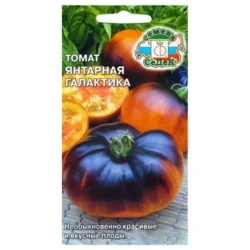Томат Янтарная галактика Седек Томат Янтарная галактика Седек