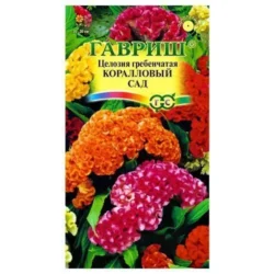 Целозия гребенчатая Коралловый сад
