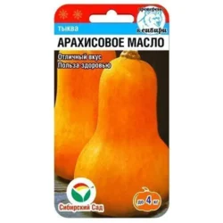 Тыква Арахисовое масло Сибирский сад Тыква Арахисовое масло Сибирский сад