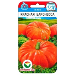 Тыква Красная баронесса Сибирский сад Тыква Красная баронесса Сибирский сад