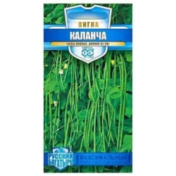 Вигна Каланча Гавриш Вигна Каланча Гавриш